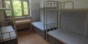 以“勇”为魂 以“训”强能  冰城公安筑牢从警根基